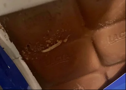 Chocolate com larva