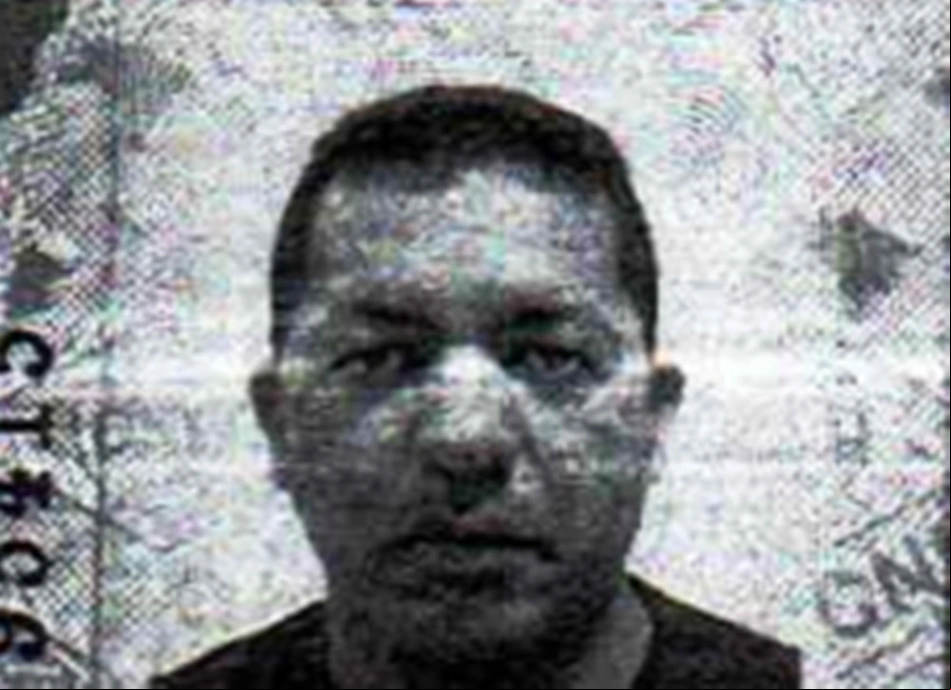 Daniel Marques Cardoso