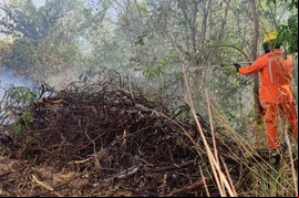 Corpo de Bombeiros de Picos registra cerca de 60 incêndios