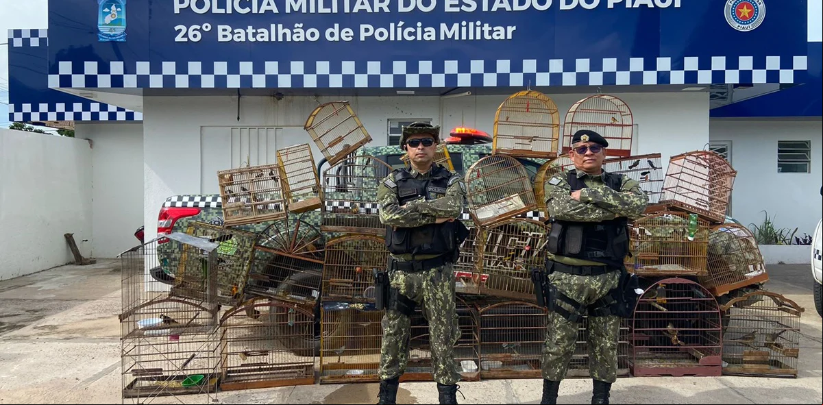 Aves em estado de mansidão foram encaminhadas para observação no Cetas