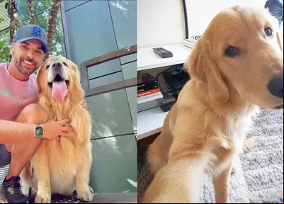 Cachorro Joca e seu tutor João Fantazzini