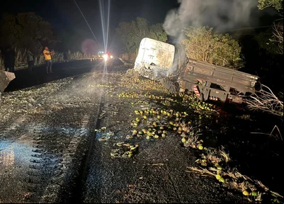 Veículo de carga pegou fogo na BR 316