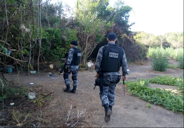 Plantação de maconha e Ilha Grande do Piauí