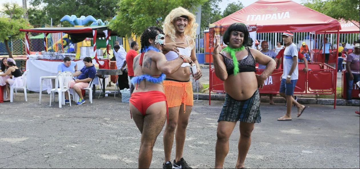 Foliões se reúnem no bloco Vaca Atolada em Teresina