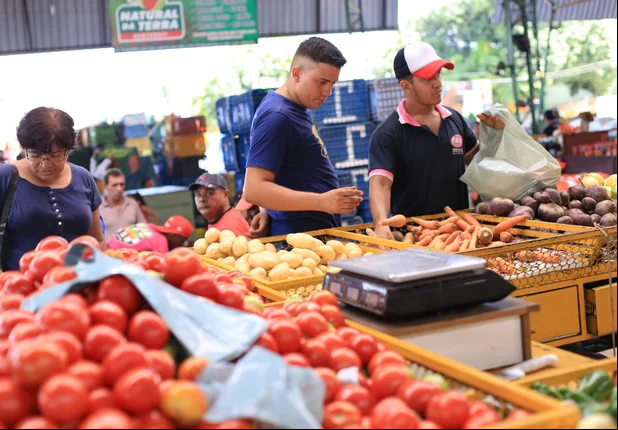 Procura por alimentos na Nova Ceasa em Teresina