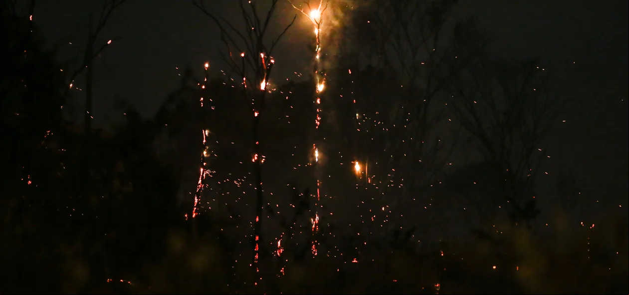 Incêndio em vegetação 