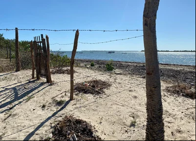 Cajueiro da Praia