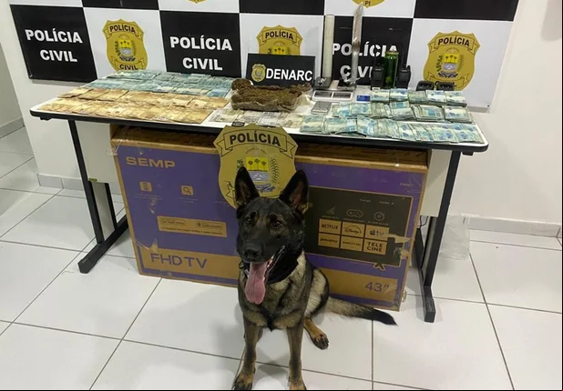 Denarc prende três mulheres por tráfico na zona sul de Teresina