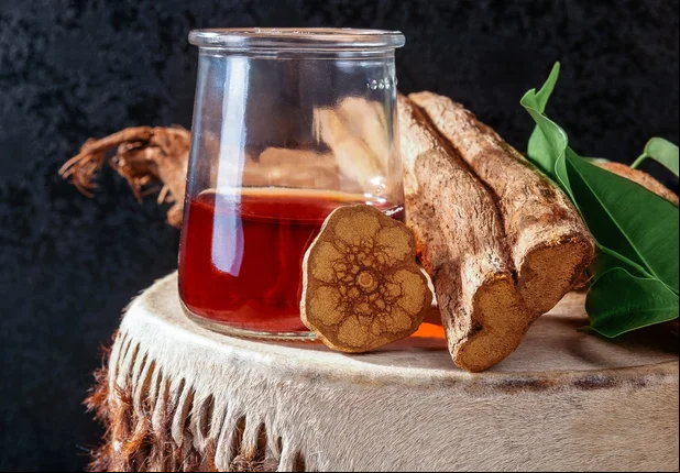 Ayahuasca no Piauí: conheça a história e o uso do chá milenar